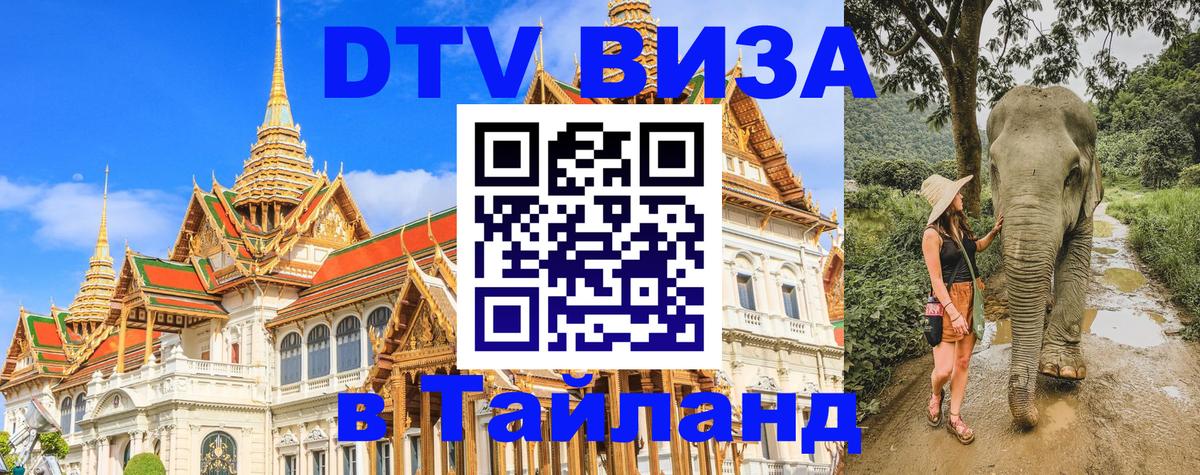 Сколько стоит DTV виза — актуальные цены, оформление даже без документов - Новочеркасск 